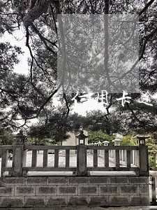 信用卡逾期怎么能消掉 信用卡逾期怎么能消掉