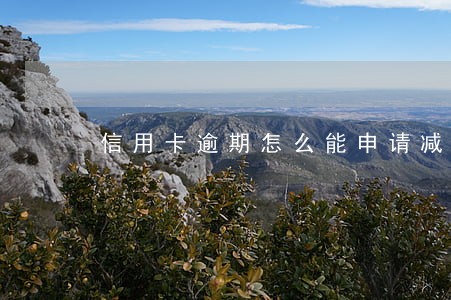 信用卡逾期怎么能申请减免