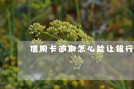 信用卡逾期怎么能让银行分期