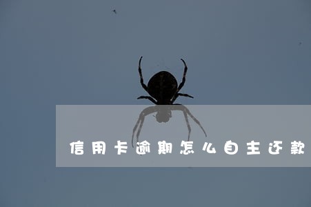 信用卡逾期怎么自主还款 信用卡逾期怎么自主还款