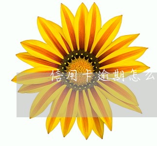 信用卡逾期怎么补充电话 信用卡逾期怎么补充电话