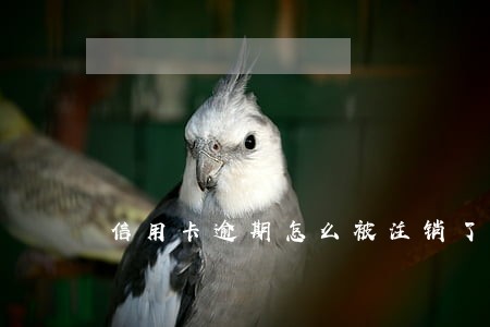 信用卡逾期怎么被注销了