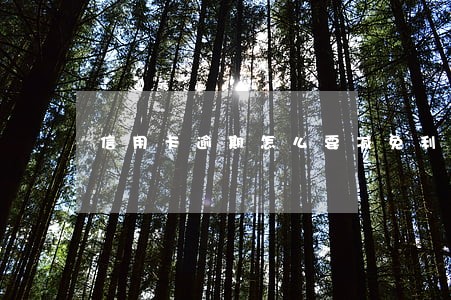 信用卡逾期怎么要减免利息 信用卡逾期怎么要减免利息