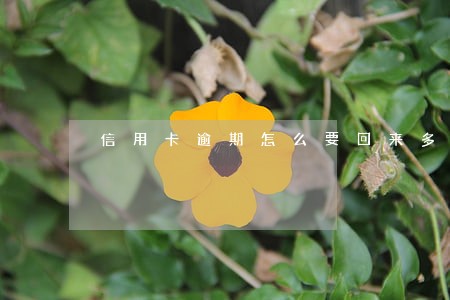 信用卡逾期怎么要回来多收费用 信用卡逾期怎么要回来多收费用