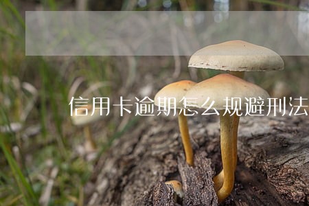 信用卡逾期怎么规避刑法 信用卡逾期怎么规避刑法