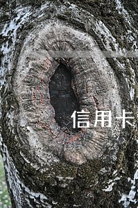 信用卡逾期怎么解除ETC 信用卡逾期怎么解除ETC