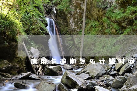 信用卡逾期怎么计算时间 信用卡逾期怎么计算时间