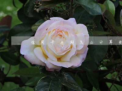 信用卡逾期怎么计算费用 信用卡逾期怎么计算费用