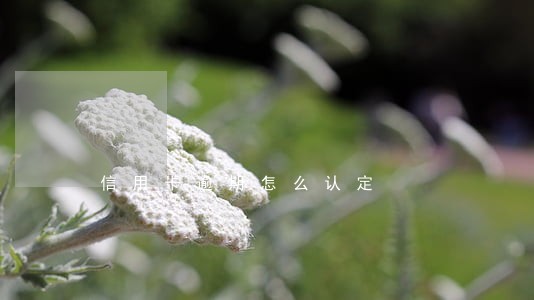 信用卡逾期怎么认定
