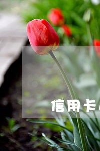 信用卡逾期怎么让信用卡停利息 信用卡逾期怎么让信用卡停利息