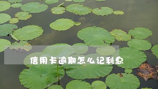 信用卡逾期怎么记利息 信用卡逾期怎么记利息