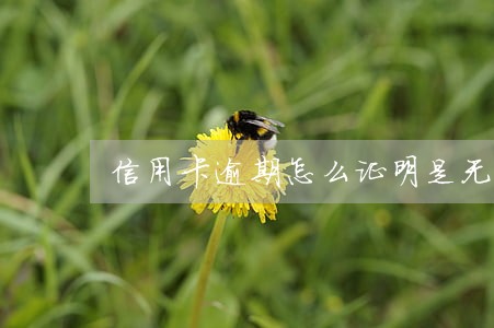 信用卡逾期怎么证明是无意还款 信用卡逾期怎么证明是无意还款