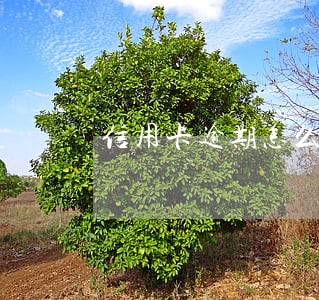 信用卡逾期怎么说才不联系家人 信用卡逾期怎么说才不联系家人