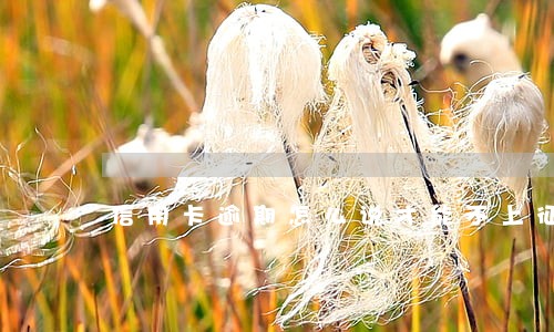 信用卡逾期怎么说才能不上征信 信用卡逾期怎么说才能不上征信