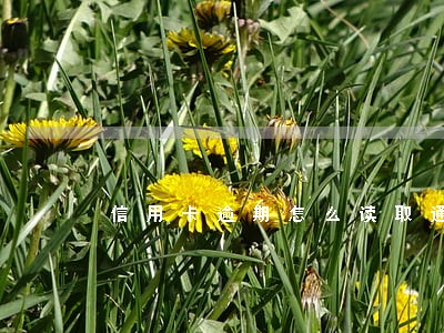 信用卡逾期怎么读取通讯录的 信用卡逾期怎么读取通讯录的