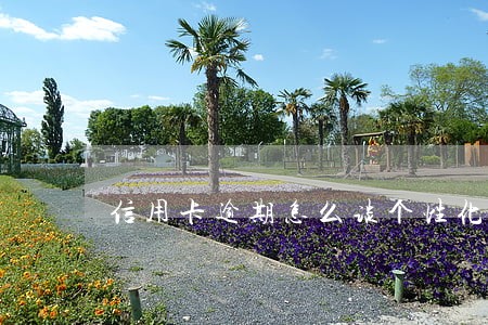 信用卡逾期怎么谈个性化分期