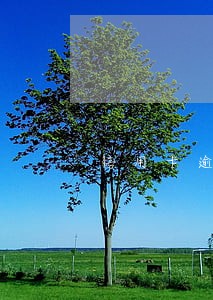 信用卡逾期怎么谈还本金 信用卡逾期怎么谈还本金