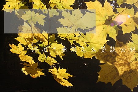 信用卡逾期怎么贷款公积金