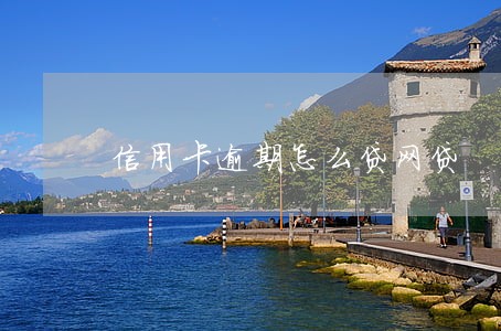 信用卡逾期怎么贷网贷