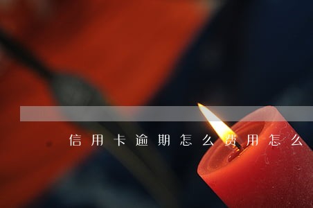 信用卡逾期怎么费用怎么算的 信用卡逾期怎么费用怎么算的
