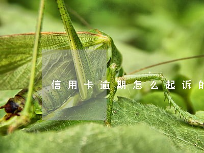 信用卡逾期怎么起诉的 信用卡逾期怎么起诉的