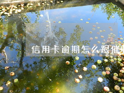 信用卡逾期怎么跟催收公司协商 信用卡逾期怎么跟催收公司协商