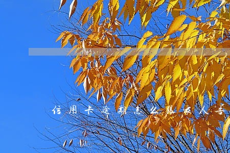 信用卡逾期怎么跟家人告别 信用卡逾期怎么跟家人告别