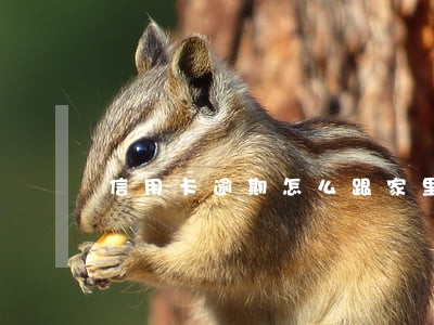 信用卡逾期怎么跟家里人借钱 信用卡逾期怎么跟家里人借钱