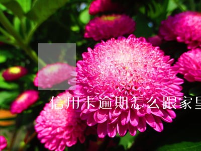 信用卡逾期怎么跟家里说 信用卡逾期怎么跟家里说