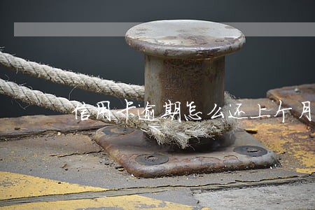 信用卡逾期怎么还上个月的钱