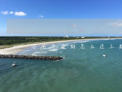 信用卡逾期怎么还上期账单 信用卡逾期怎么还上期账单