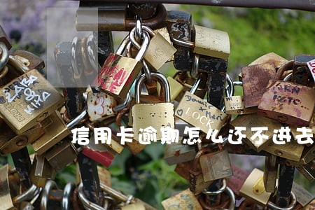信用卡逾期怎么还不进去 信用卡逾期怎么还不进去