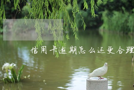 信用卡逾期怎么还更合理 信用卡逾期怎么还更合理