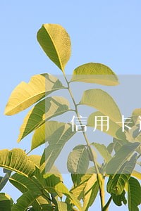 信用卡逾期怎么还最有利