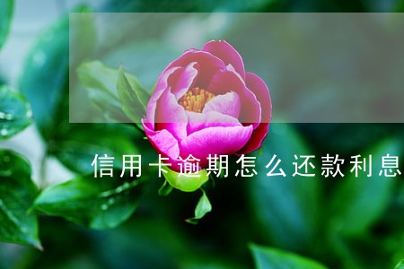 信用卡逾期怎么还款利息