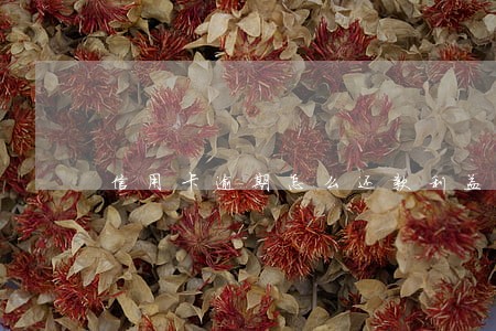 信用卡逾期怎么还款利益最大
