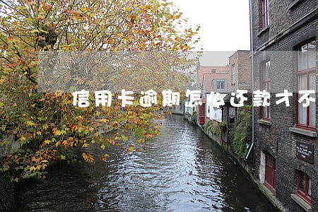 信用卡逾期怎么还款才不被起诉 信用卡逾期怎么还款才不被起诉