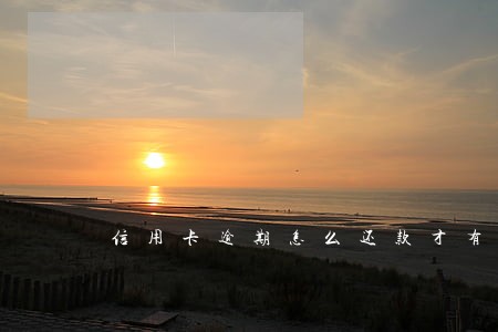 信用卡逾期怎么还款才有效