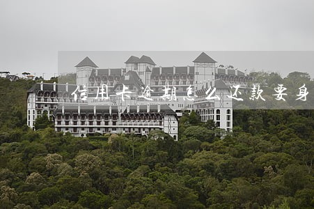 信用卡逾期怎么还款要身份证 信用卡逾期怎么还款要身份证