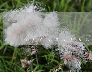 信用卡逾期怎么还能坐飞机 信用卡逾期怎么还能坐飞机