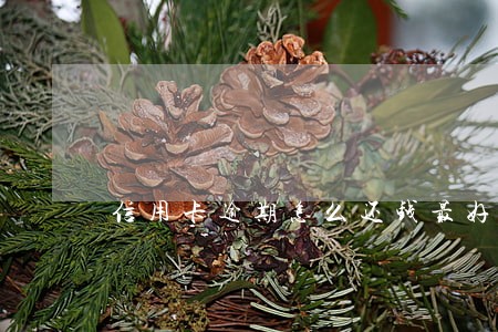 信用卡逾期怎么还钱最好