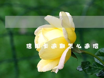 信用卡逾期怎么追偿 信用卡逾期怎么追偿