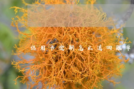 信用卡逾期怎么追回账单 信用卡逾期怎么追回账单