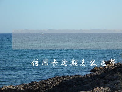 信用卡逾期怎么选择 信用卡逾期怎么选择