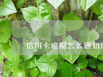 信用卡逾期怎么通知你 信用卡逾期怎么通知你
