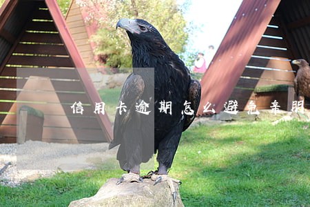 信用卡逾期怎么避免亲朋友骚扰