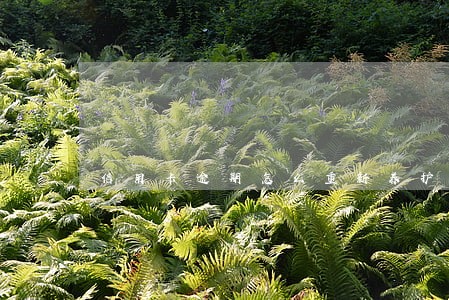 信用卡逾期怎么重新养护 信用卡逾期怎么重新养护