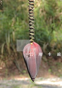 信用卡逾期怎么重组 信用卡逾期怎么重组