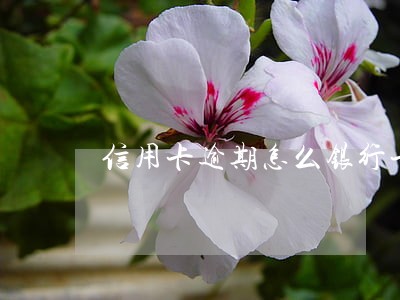 信用卡逾期怎么银行卡不被扣钱 信用卡逾期怎么银行卡不被扣钱