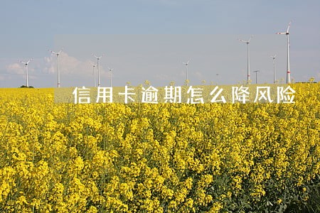 信用卡逾期怎么降风险 信用卡逾期怎么降风险